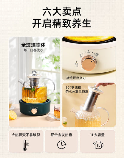 Health Pot Multifunctional Home Office Thickened Glass New Tea Maker Kettle Flower Tea Pot Gift 110V