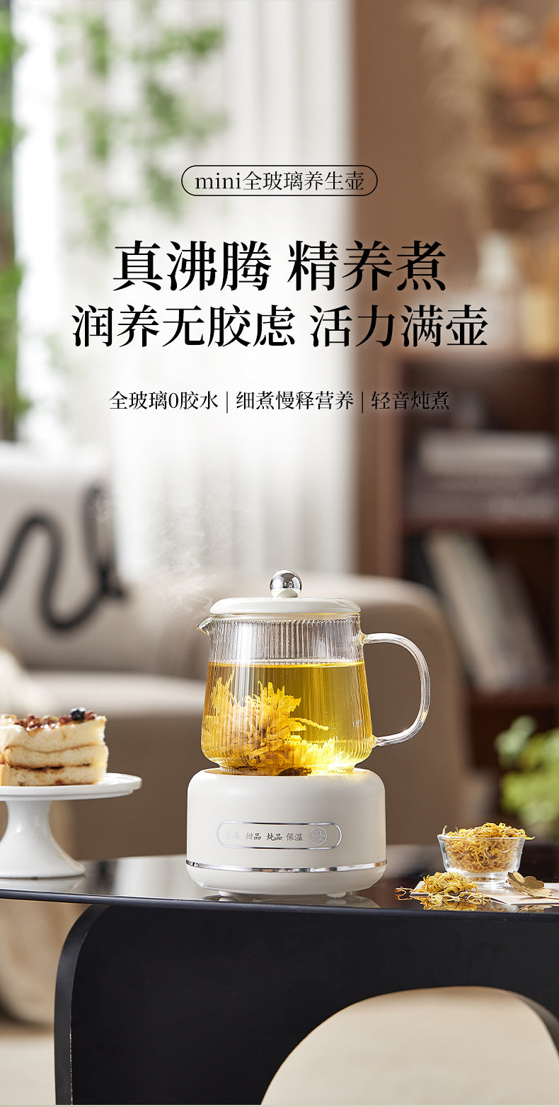 Multifunctional Mini Health Pot, Small Office Tea Maker, Home Health Cup, Electric Hot Water Cup, Gift Box