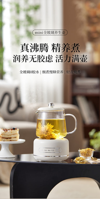 Multifunctional Mini Health Pot, Small Office Tea Maker, Home Health Cup, Electric Hot Water Cup, Gift Box
