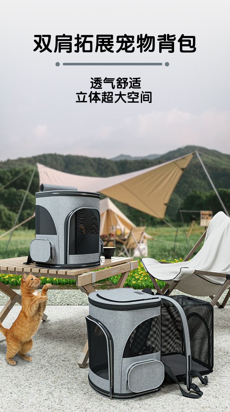 Cross-border Cat Bag Outgoing Portable Pet Bag Large Capacity Pet Space Capsule Cat and Dog Box Shoulder Cat Outgoing Bag