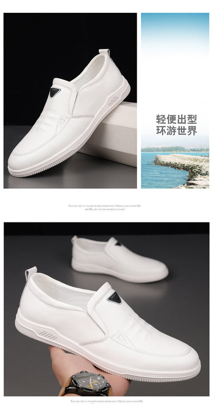 Summer Leather Shoes for Men, Casual Hollow Breathable Clogs, Soft Sole, Soft Mesh Shoes, Foreign Style Men's Shoes, Drop Shipping