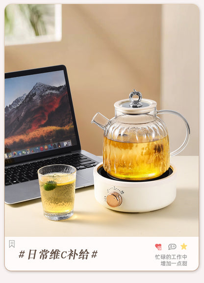 Health Pot Multifunctional Home Office Thickened Glass New Tea Maker Kettle Flower Tea Pot Gift 110V