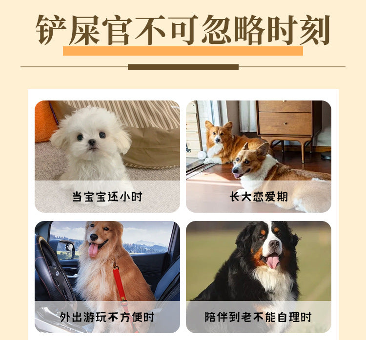 Postage 40 large packaging pet diapers dog physiological pants absorbent diaper source factory direct sales