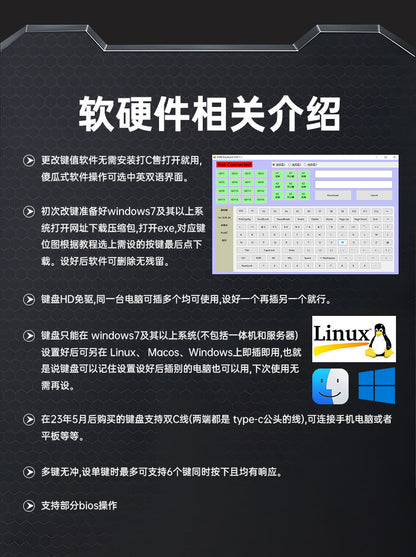 Customized Mini 2-Key Keypad Copy and Paste Hot-Swappable Office Game One-Click Password Design Illustration DIY