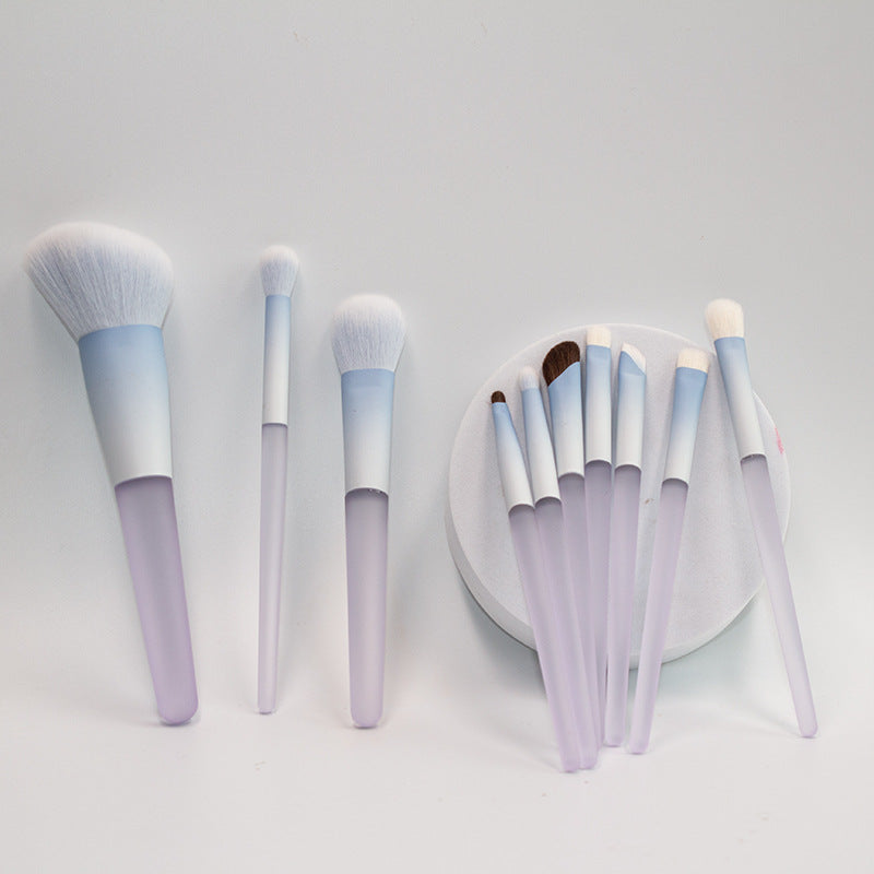 Chen Yuanyuan 10-Piece Makeup Brush Set, Blush Brush, Loose Powder Brush, Eye Shadow Brush, Nose Shadow Brush, Complete Set for Setting Makeup and Contouring