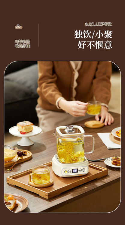 Health Pot Multi-functional New Household Glass Kettle Small Office Tea Maker Dormitory Flower Tea Pot Gift