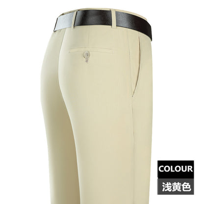 2025 New Summer Thin Mulberry Silk Middle-Aged Business Casual Straight Loose Wrinkle-Free Men's Pants