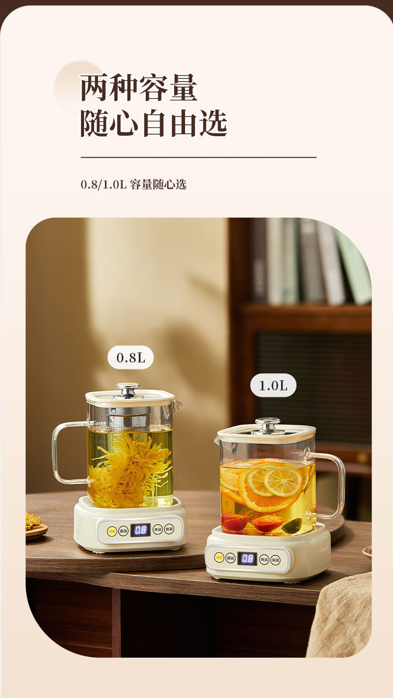 Health Pot Multi-functional New Household Glass Kettle Small Office Tea Maker Dormitory Flower Tea Pot Gift
