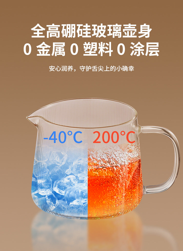 Health pot household multi-functional full glass tea cooker kettle small office flower teapot insulation electric Cup