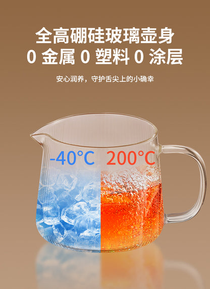 Health Pot Household Multifunctional Full Glass Tea Maker Kettle Small Office Flower Tea Pot Electric Cup Gift