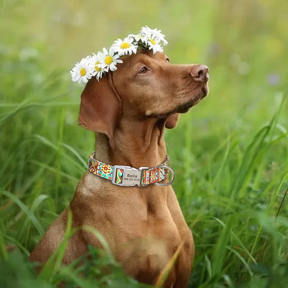 Custom Large Dog Collar Cute Print Personalized Pet Collar Nylon Puppy Dogs ID Collars Engraved Name for Small Medium Large Dog