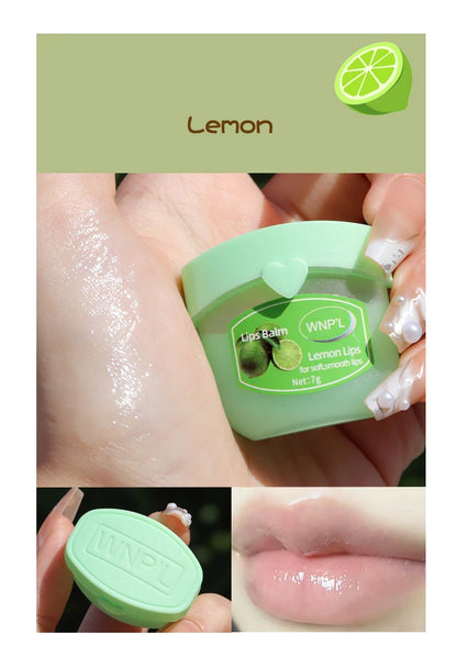 4/6/8pcs Moisturizing Lip Balm Sets Lipstick Makeup Natural Plant Base Moisturizer Lip Balm Anti-Cracking Lips