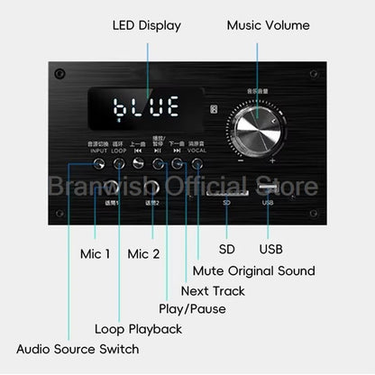 5.1 Channel Home Theater System 200W Peak Power Subwoofer Bluetooth 5.0 Wireless Microphone Wall Mount Speakers For Home KTV