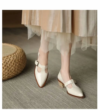 Ladies Shoes 2024 New Mary Janes Women's High Heels Fashion Buckle Strap Office and Career High Quality Pointed Toe Heels Women