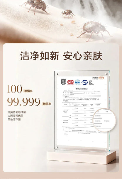 Handheld Portable Steam Iron Compact for Home Use Dry And Wet Ironing Clothes Smoothing Machine