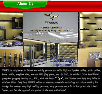 YYAUDIO HiFi Audio Noise AC Power Filter Power Conditioner Power Purifier Surge Protection with EU Outlets Power Strip