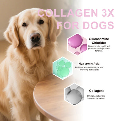 Pet Collagen Drops Effectively Maintain Cartilage Health Support Joint Mobility Promote Joint Lubrication Pet Dietary Supplement
