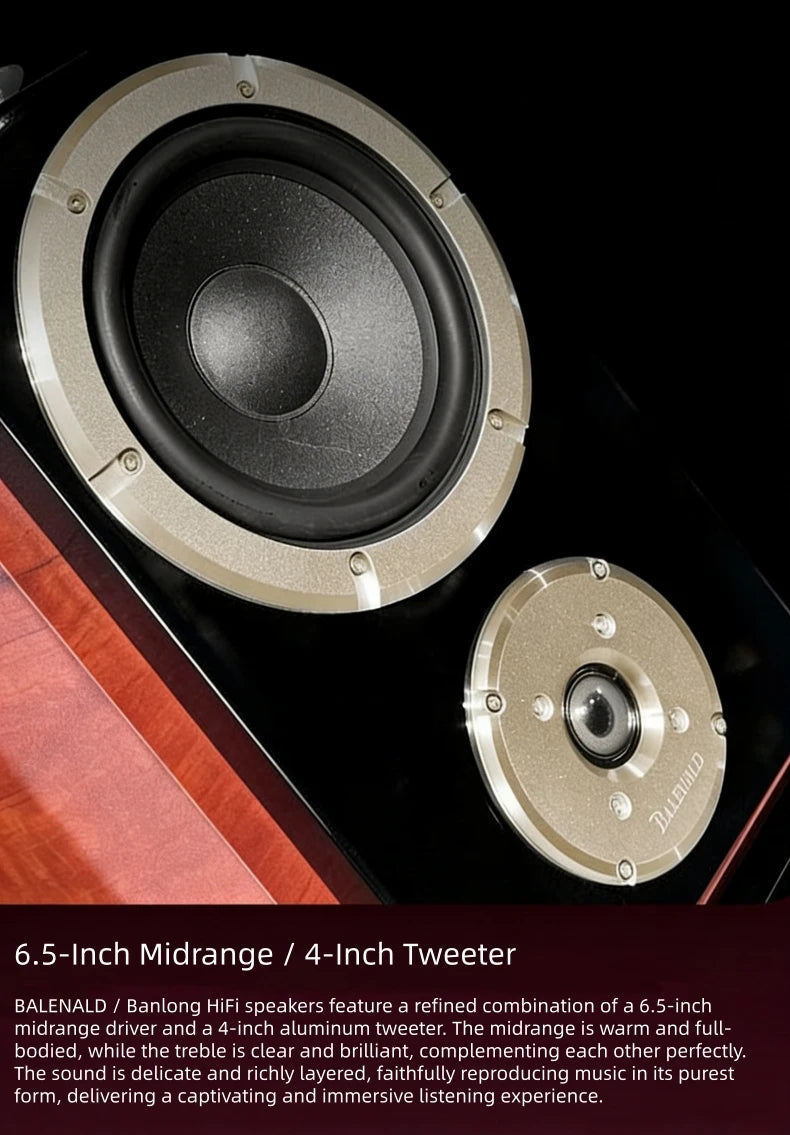 BN838 Hi-Fi Home Theater Speakers with Karaoke Amplifier, Luxury Audio System for Villa & Large Living Rooms