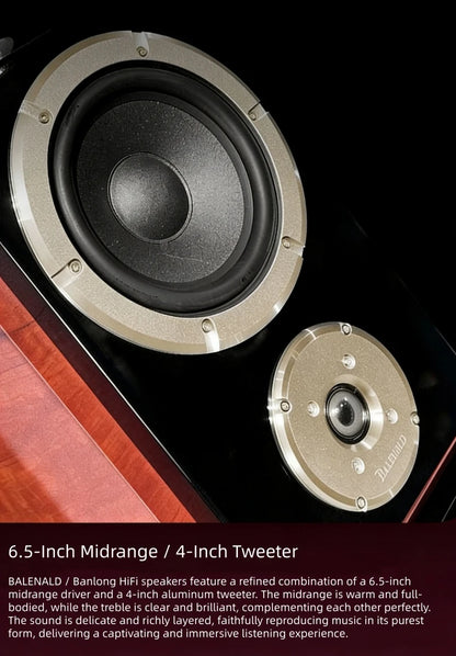 BN838 Hi-Fi Home Theater Speakers with Karaoke Amplifier, Luxury Audio System for Villa & Large Living Rooms
