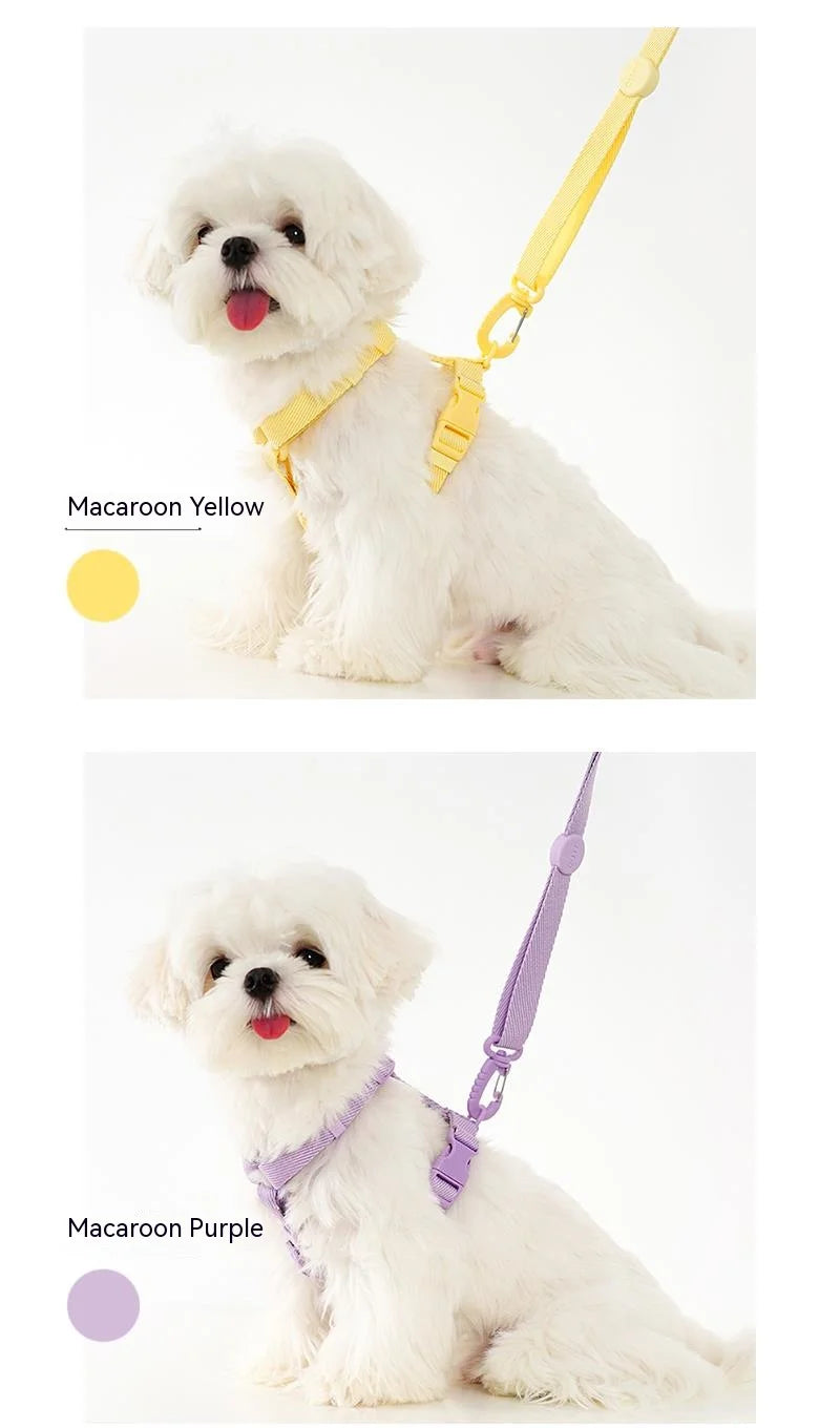 Dog Harness Dog Collar Dog Leash Macarone Color Cat Accessories Pet Small Dog Accessories Small Dog Harness Dog Supplies