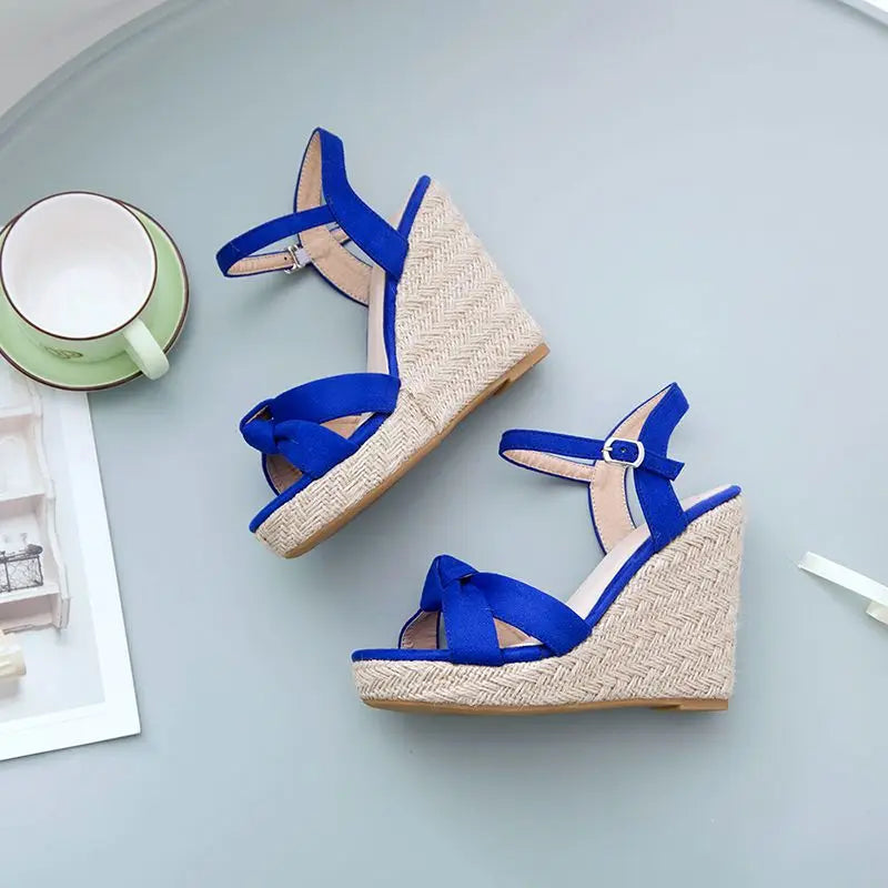 REAVE CAT Brand Women Sandals Open Toe Flock Suede Wedges 11cm Platform Buckle Strap Big Size 44 45 46 Soft Leisure Daily Shoes