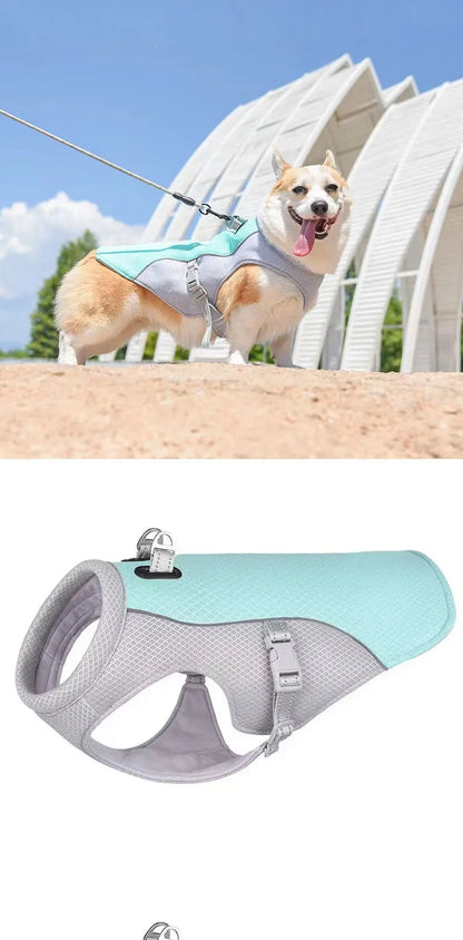 Dog Cooling Vest Harness, Lightweight Breathable Small Puppy Cooler Jacket with Adjustable Buckle for Outdoor Beach, Hiking, Tr