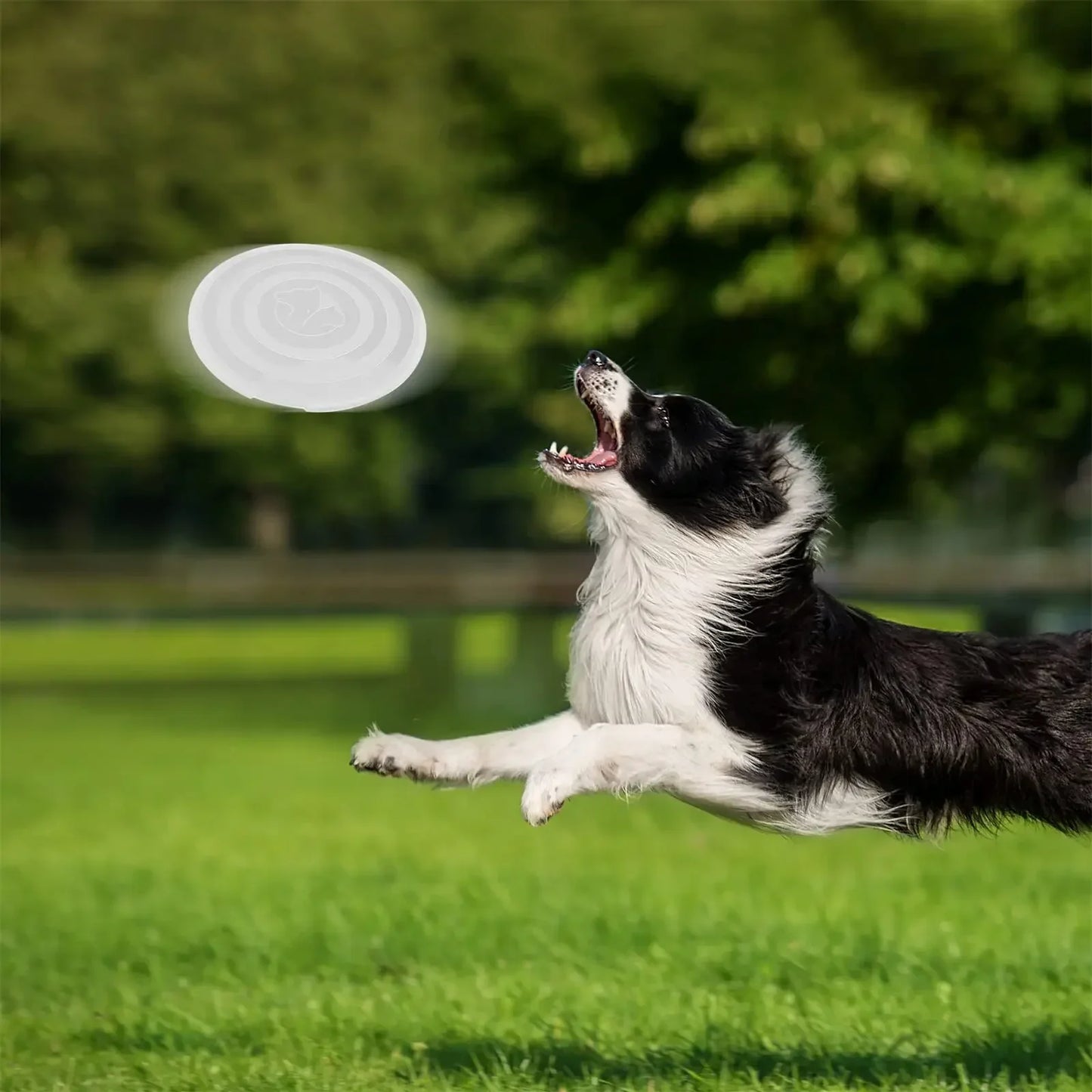 Pet Collapsible Black Frame Bowl Keychain Portable Travel Food Water Dish Dog Cat BPA Free Silicone Lightweight Pet Feeding Bowl