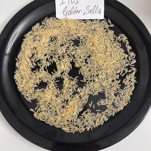 1401 Golden Sella Basmati Rice Premium Aged Long Grain Aromatic Parboiled Export Quality Bulk Supply from Saanvisha Global India