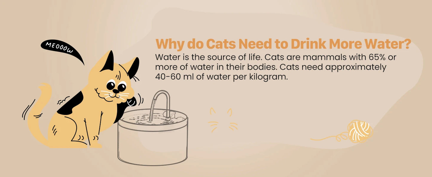 Pet Water Fountain Auto Filter Set Automatic Sensing Cat Drinker 2.1L Recirculate Filtring Drinking for Cat Dog Water Dispenser