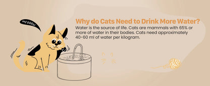 Pet Water Fountain Auto Filter Set Automatic Sensing Cat Drinker 2.1L Recirculate Filtring Drinking for Cat Dog Water Dispenser