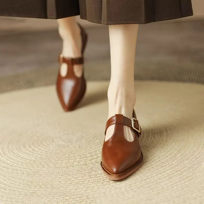 Ladies Shoes 2024 New Mary Janes Women's High Heels Fashion Buckle Strap Office and Career High Quality Pointed Toe Heels Women