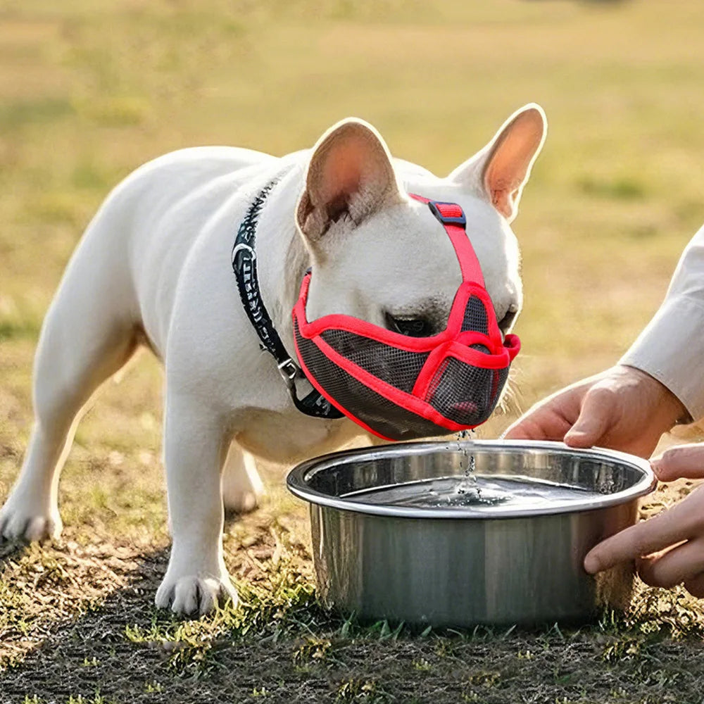 Summer French Bulldog Short Nosed Adjust Pet Muzzle for Dogs Face Shield Pug Mascotas Accessories Prevent Accidental Ingestion