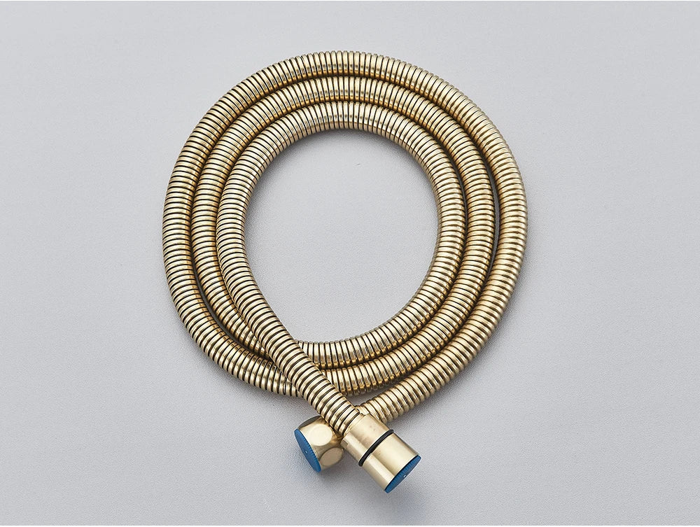 Brushed Gold Handheld Toilet Bidet Sprayer Stainless Steel Bidet Shower Hygienic Shower Wall Toilet Bidet Sprayer Cold Water