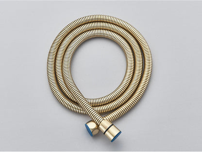 Brushed Gold Handheld Toilet Bidet Sprayer Stainless Steel Bidet Shower Hygienic Shower Wall Toilet Bidet Sprayer Cold Water