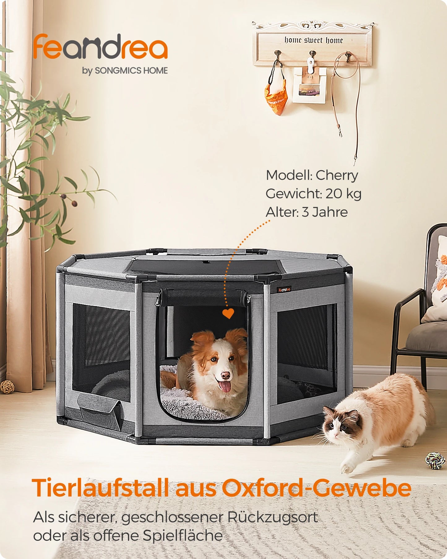 FEANDREA animal transport box, M/L puppy spout, robust construction with side bag