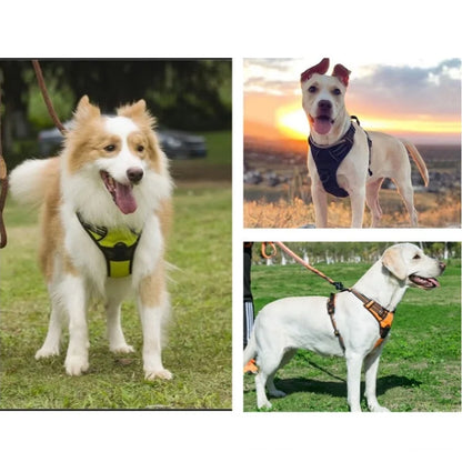 Medium Large Dog Collars Harness Big Vests Harness for Dog Pet Shop Everything for Dogs Small Dogs Harness Puppy Accessories