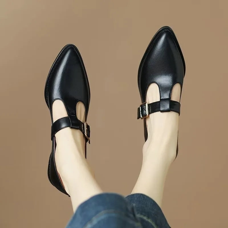 Ladies Shoes 2024 New Mary Janes Women's High Heels Fashion Buckle Strap Office and Career High Quality Pointed Toe Heels Women