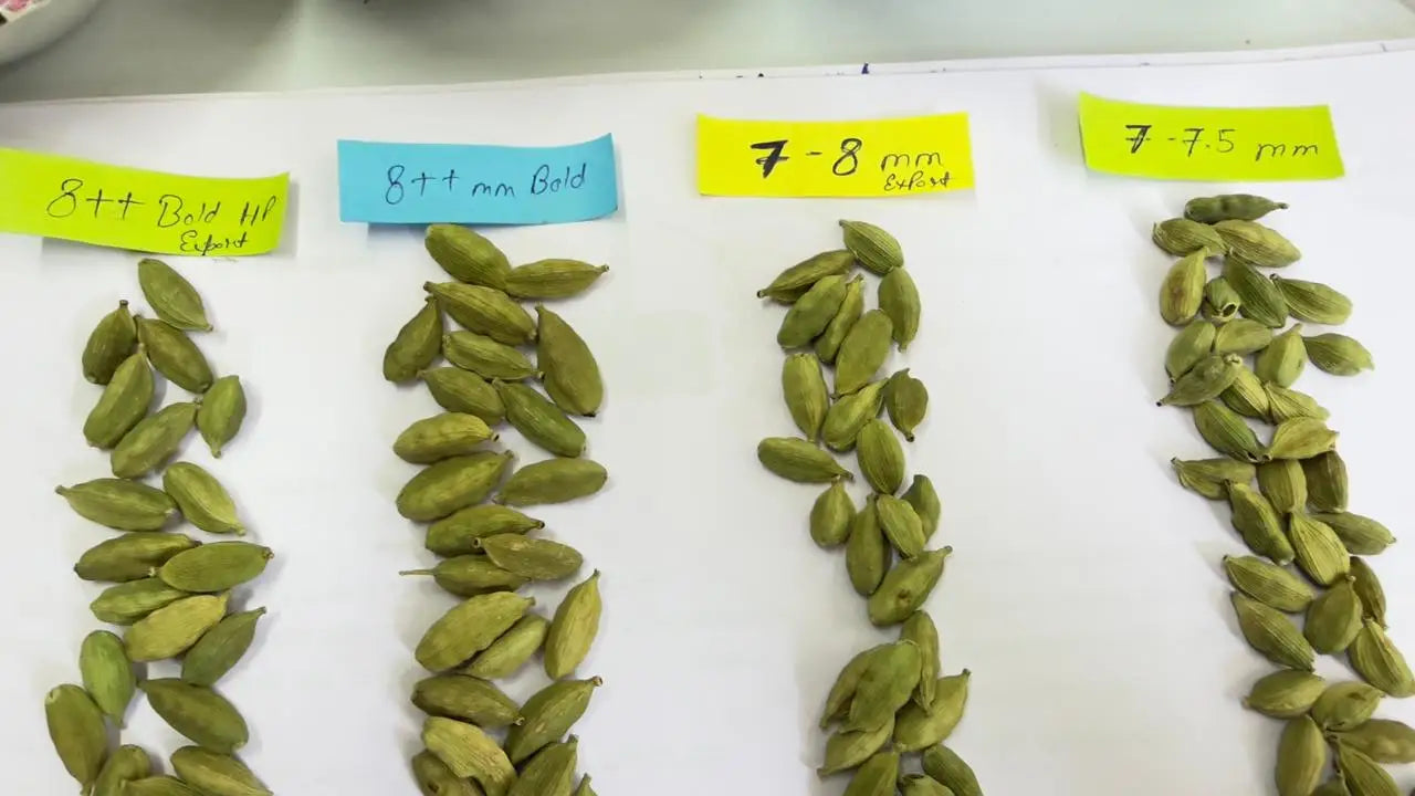Western Ghats 8mm Fresh Raw Super Green Cardamom Whole Pod Intense Flavor Herbal Seasoning Commercial Bulk Distribution Export