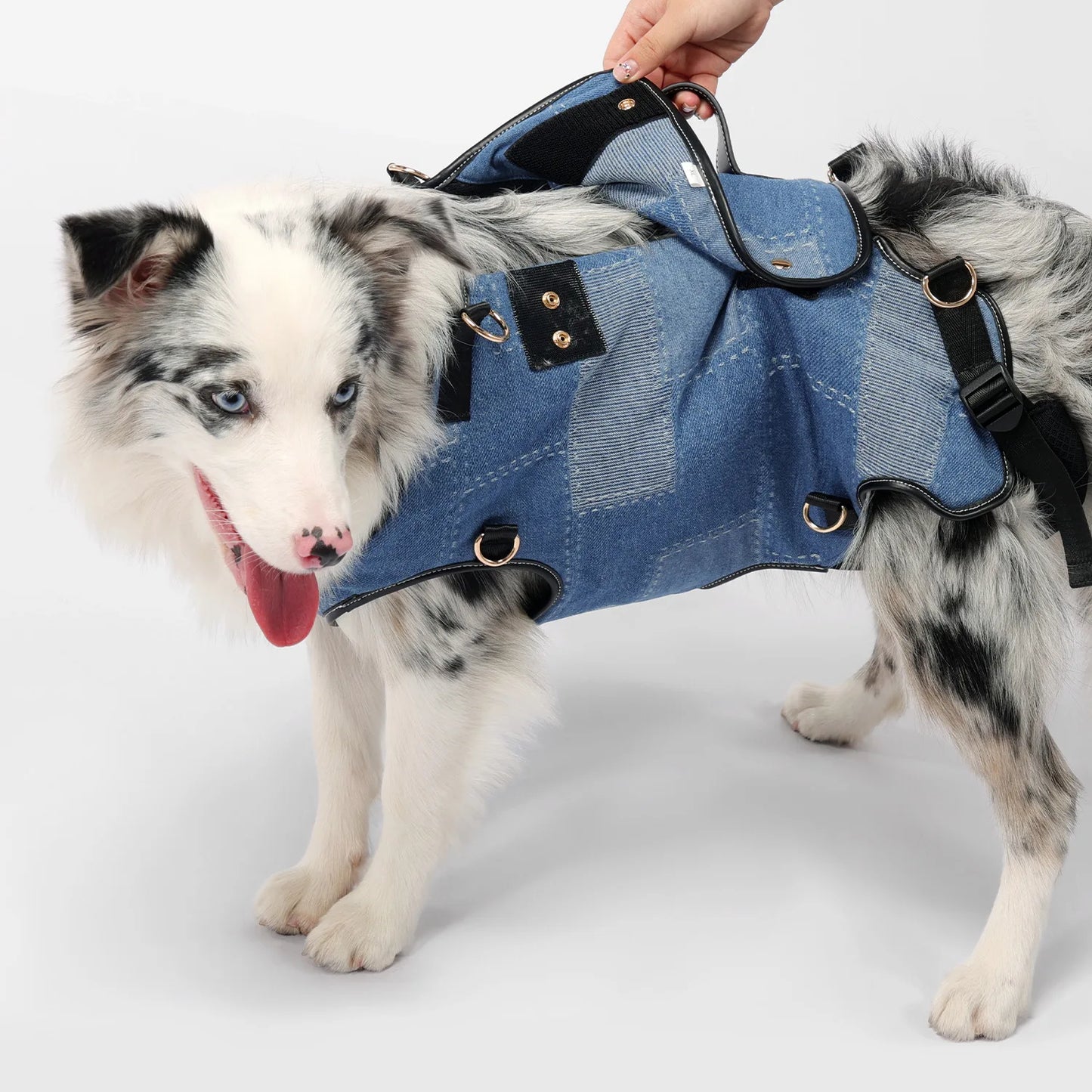 Pet Backpack for Dogs Breathable Pet Harness for Small Medium Large Dogs Portable Cycling Dog Carrier