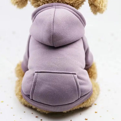 Autumn and winter pet two-legged clothing sports sweater dog clothes pet supplies cat clothes