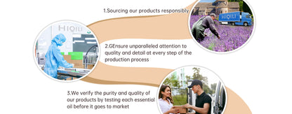 HIQILI Best Essential Oils ,100% Pure Nature for Aromatherapy | Humidifier, Massage,Diffuser, Skin & Hair Care,Perfume DIY-10ML