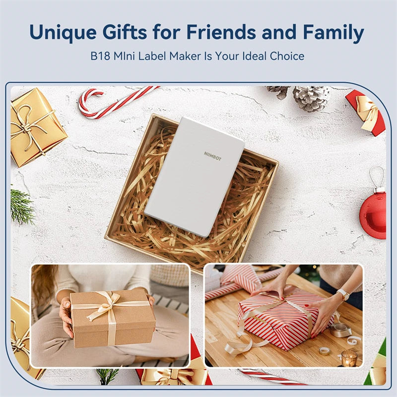 Niimbot B18 Thermal Transfer Label Printer Mini Label Maker for Perfume/Cable/Garden Self-Adhesive Labels Long-term Storage