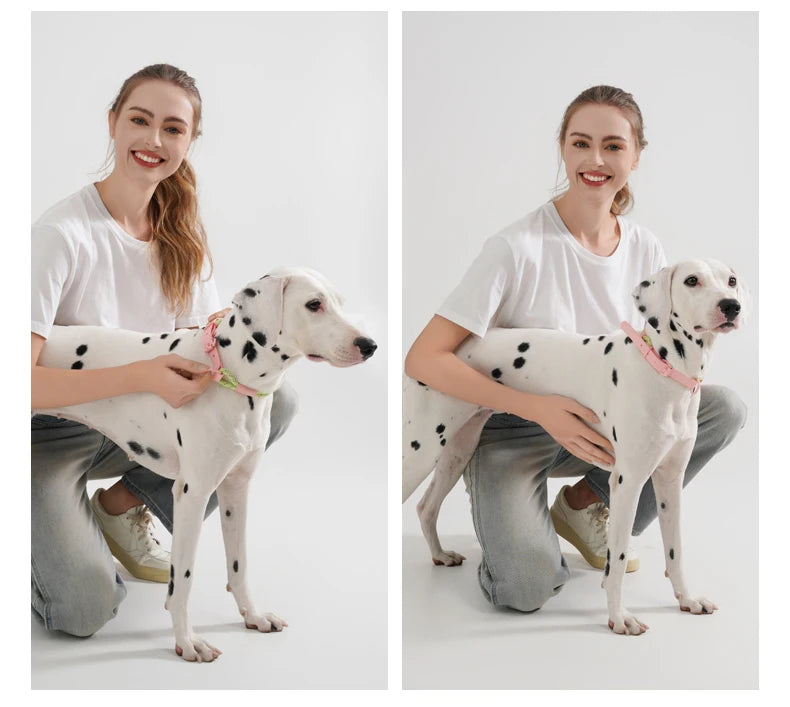 Pet Collar Cute Fashion Nylon webbing Dog Lead Collar Candy Style Handmade Webbing PVC Neck Ring Cool waterproof Dogs supplies
