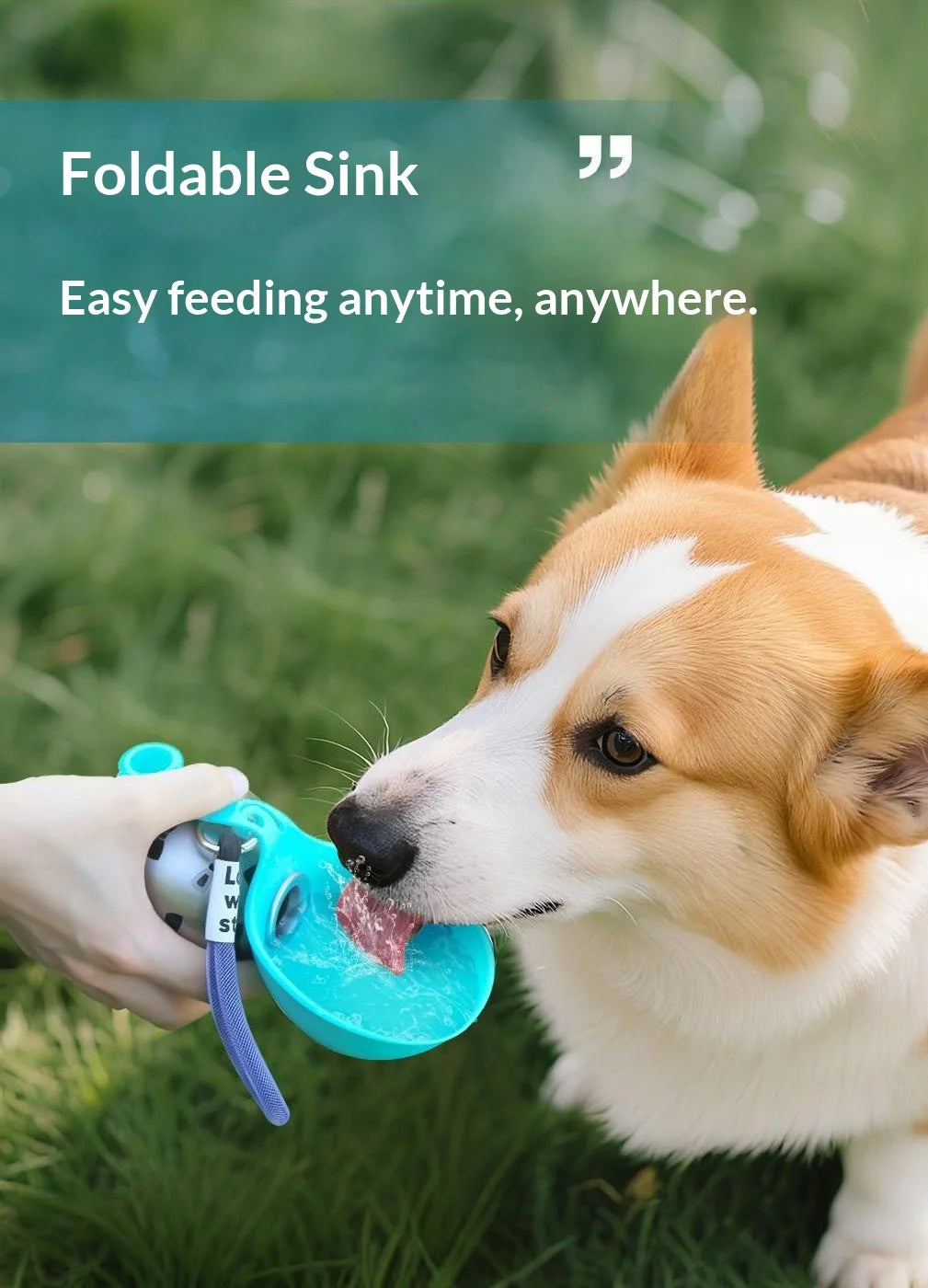 Lovewithstyle Dog Portable Water Bottle 304 Stainless Steel Ball Shaped Refillable Foldable Hook Outdoor Walking Hiking For Pet
