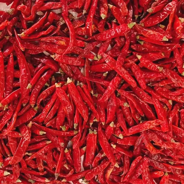 Premium Sannam S4 S334 S10 Dry Red Chilli Export Quality High Pungency Sun Dried Whole Chilli from India