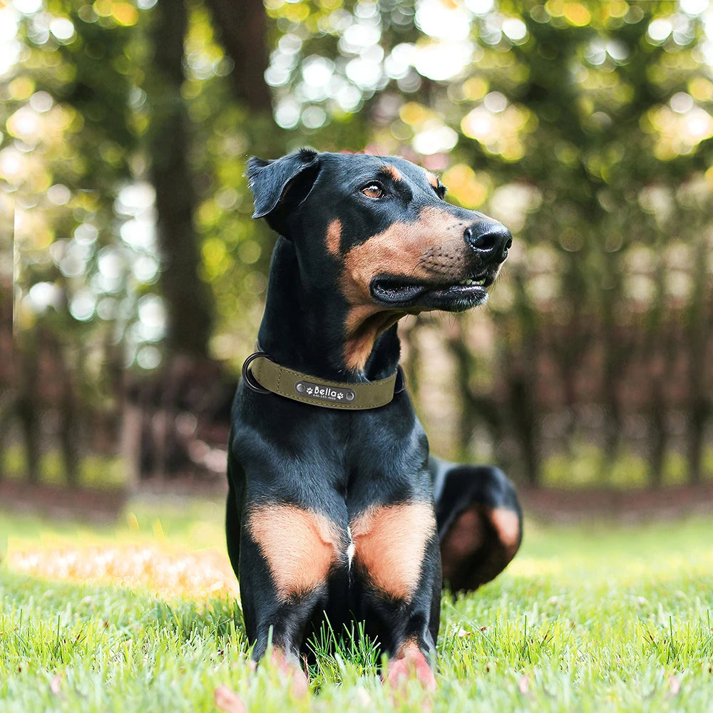 Personalized  PU Leather Dog Collar Soft Padded Pet Dog Collars Engraved Name Paw Durable Necklace for Small Medium Large Dogs