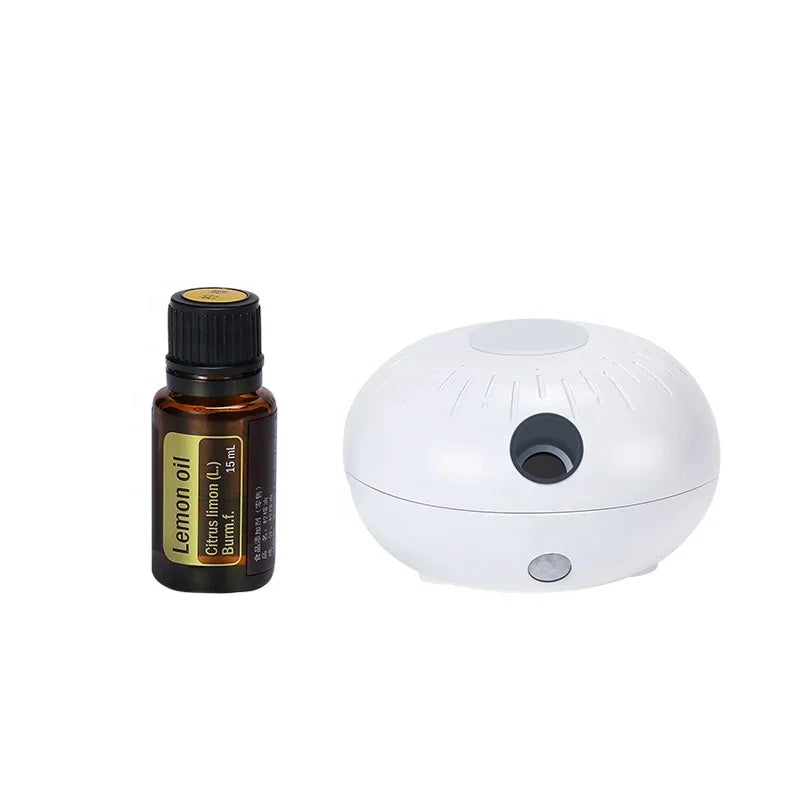 Room Fragrance Diffuser USB Car Air Nebulizer Diffuser Funny Automatic Induction Portable smell distributor For Bedroom Office