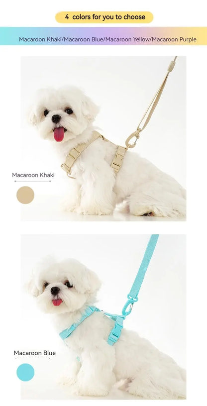 Dog Harness Dog Collar Dog Leash Macarone Color Cat Accessories Pet Small Dog Accessories Small Dog Harness Dog Supplies