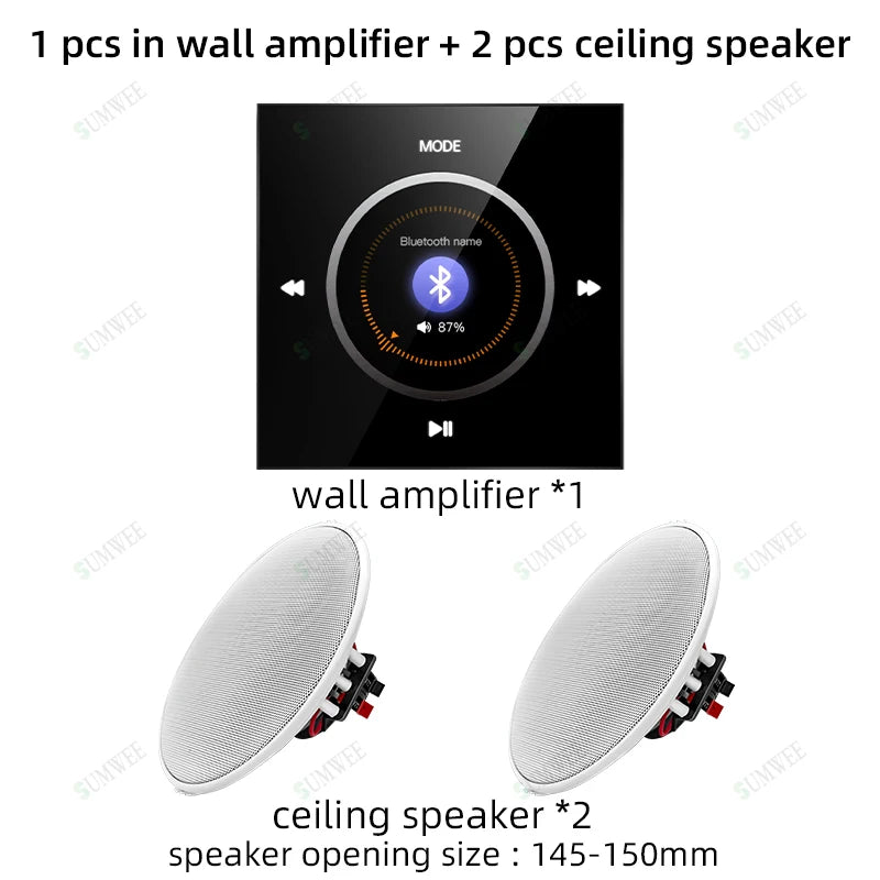 Home audio Wall power Amplifier Mini Stereo Background Music control Panel Bluetooths sound player System with Ceiling speakers