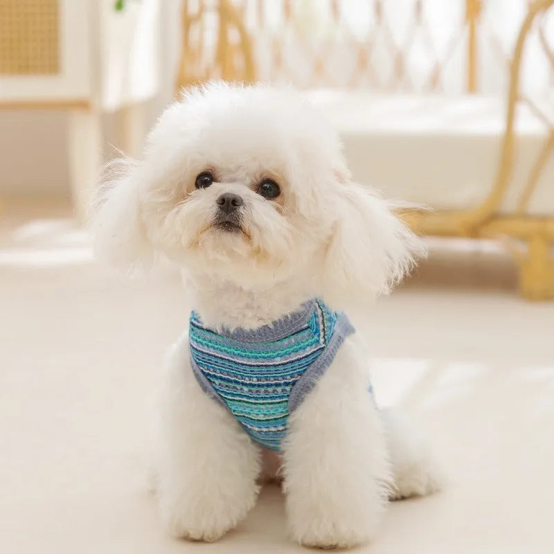 Breathable Mesh Pet Dog Vest Dog Summer Clothes Thin Cooling T Shirt Chihuahua Bichon Costume Cat Clothing Girls Puppy Shirt New